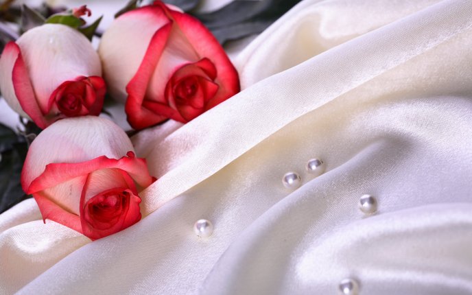 Pure roses and white pearls