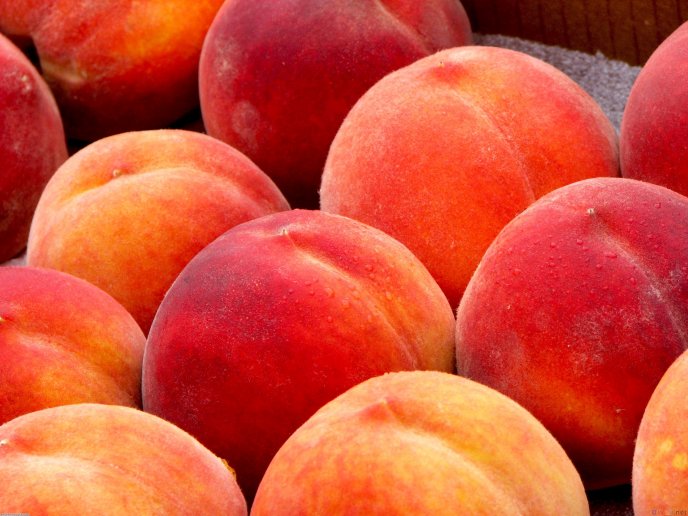 Big tasty peaches