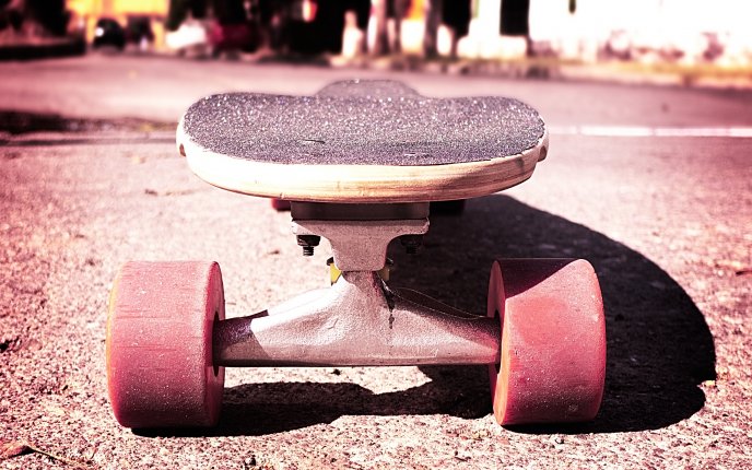 Skateboard close up