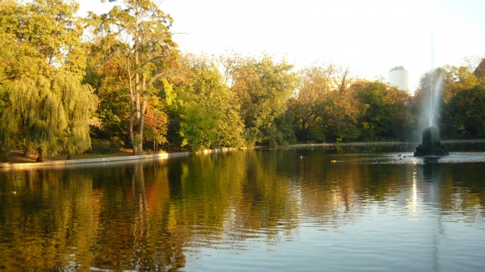 Lake in a parc