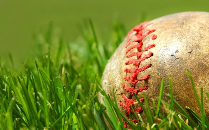 Old baseball in the grass