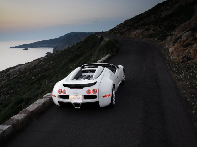 White Bugatti Veyron sport on the road