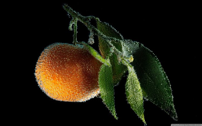 Tangerine underwater - an orange fruit full of vitamins