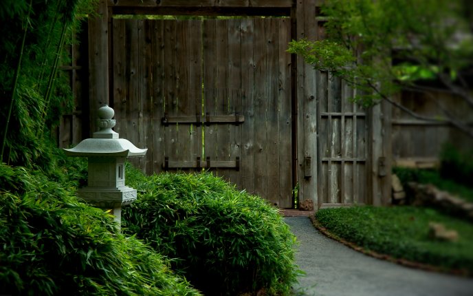 Japanese garden entrance door to HD wallpaper