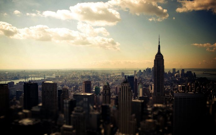 Beautiful landscape - New York view from above