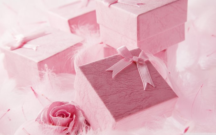 Pink velvet gift boxes - HD wallpaper
