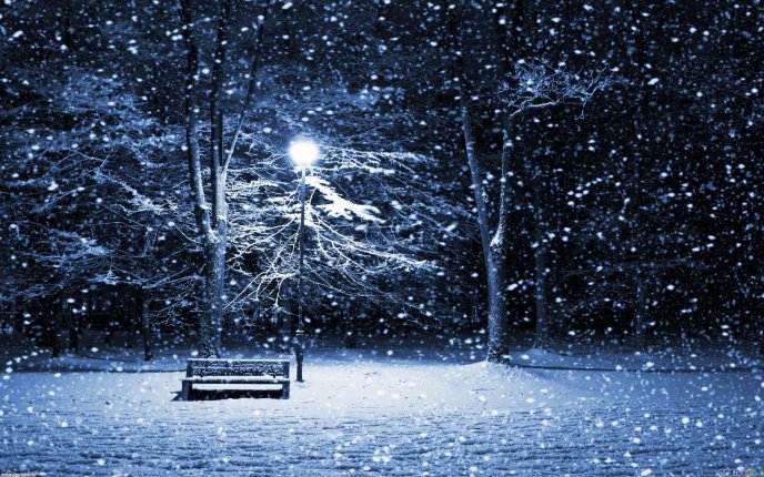 Night - snow over the park HD wallpaper