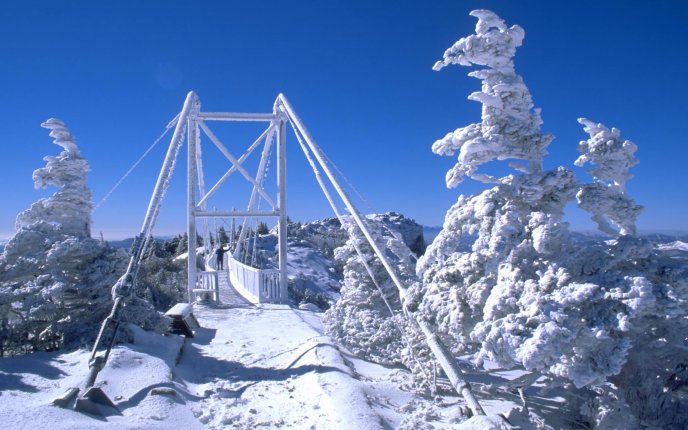 Wooden bridge on a snowy mountain top HD wallpaper
