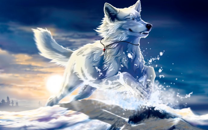 Husky - Dog Snow HD wallpaper