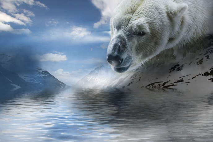 The polar bear - animal of snow