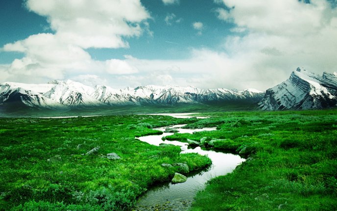 A green field crossed by a creek
