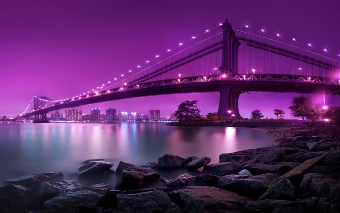 Manhattan bridge light the sky in purple - New York