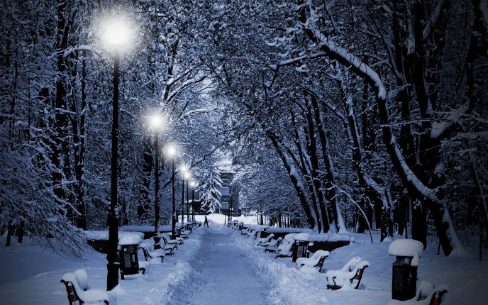 White lights illuminate the snowy park alley