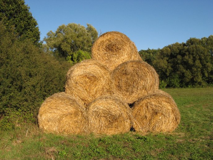 Bales of hay sit in a triangle HD wallpaper