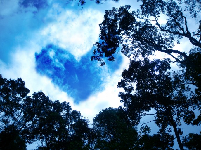 The symbol of love on the sky - cloud love