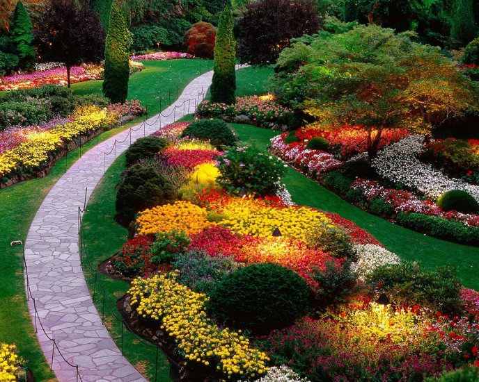 A garden of colorful flowers - Spring time