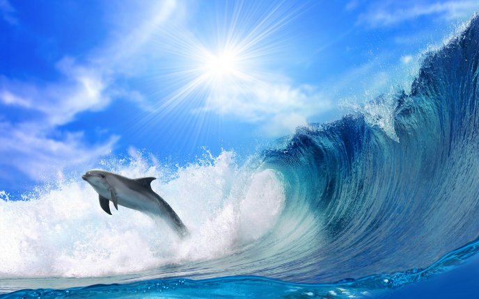 Playful dolphin jumps through the waves