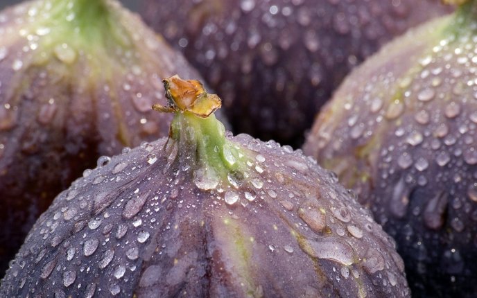 Delicious and refreshing figs - macro HD wallpaper