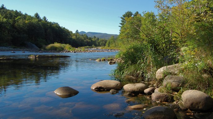 Natural habitat - calm river