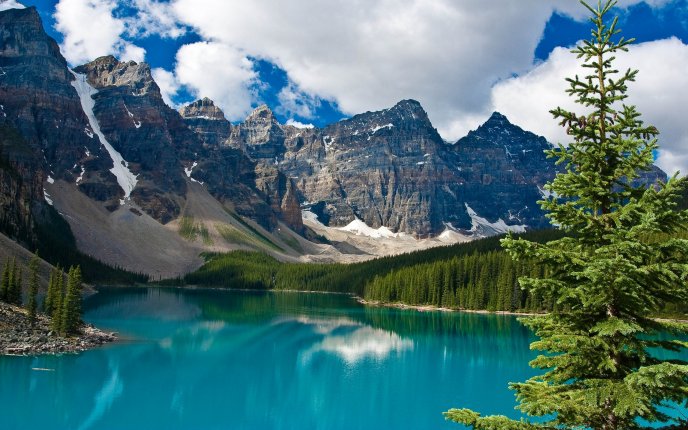 Nature landscape - mountain lake
