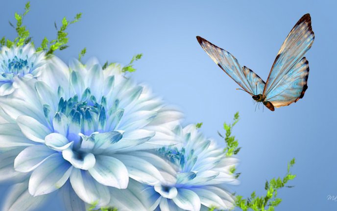 Blue butterfly and beautiful blue flowers