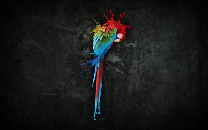 Artistic photo - colorful parrot