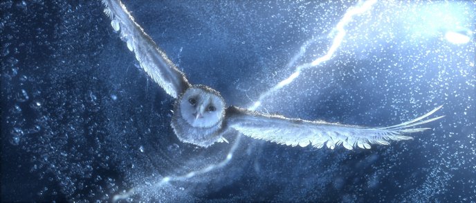 Beautiful white owl enter in water - HD wallpaper