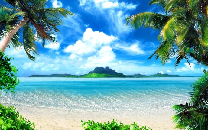 Beautiful tropical landscape - summer holiday