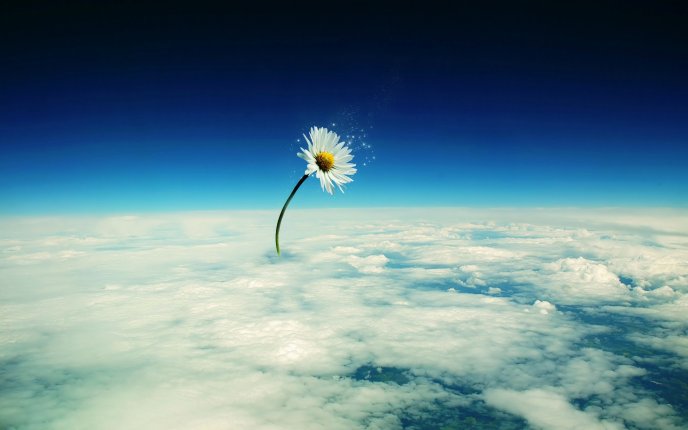 Abstract flower over the clouds - HD wallpaper