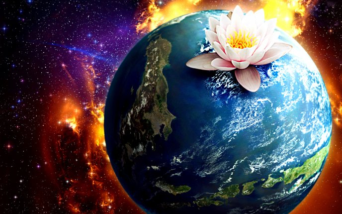 Lotus flower above the Earth - Abstract HD wallpaper