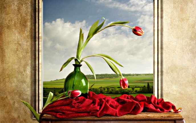 A vase with red tulips on window