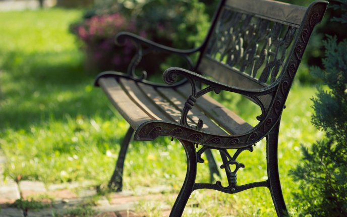 Iron bench in the park - nature HD landscape