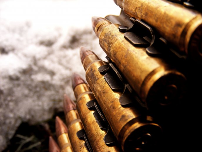 Bullets for big guns - macro hd wallpaper