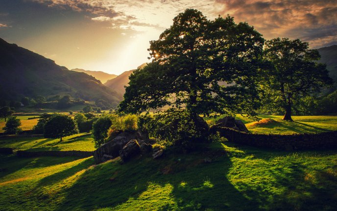 Shadows on the green field - nature HD wallpaper
