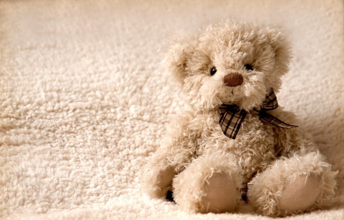 Carpet or teddy bear - sweet fluffy toy for kids