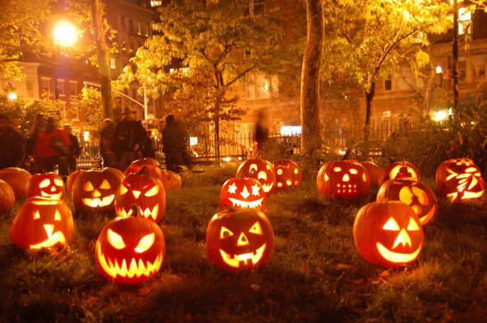 Halloween pumpkins lights in the night