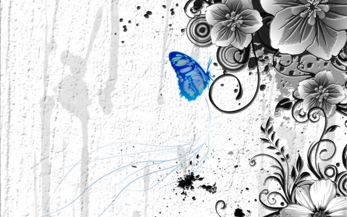 Blue butterfly on a gray background