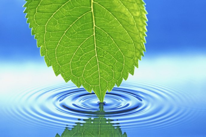Water waves with a green leaf - HD wallpaper