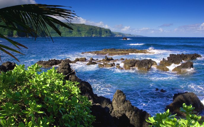 Beautiful holiday destination - Hawaii