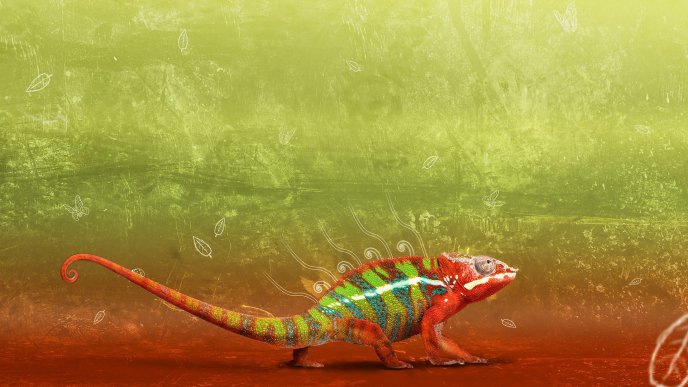 Colourful chameleon  - funny animal