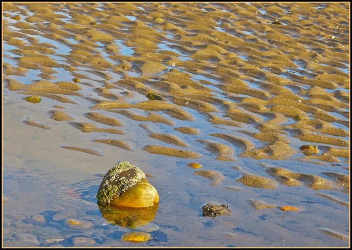 Golden sand in the water