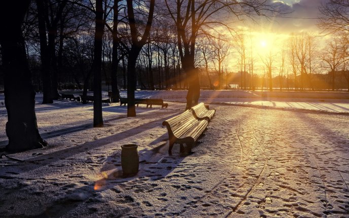 Beautiful sunset in the park - winter season