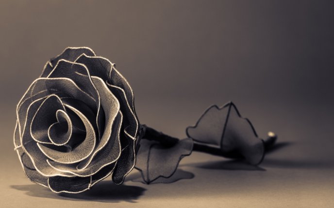 Beautiful paper rose - romantic flower