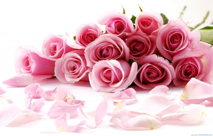 Beautiful pink bouquet of roses - Love moments