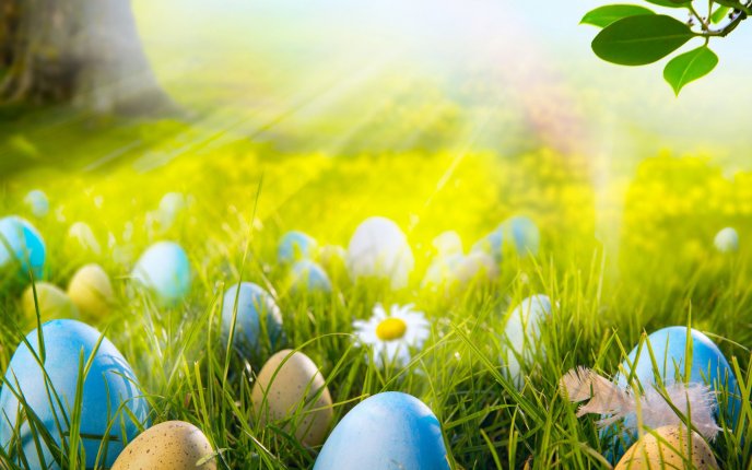 Easter eggs in the sunlight - beautiful HD spring Holiday