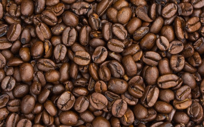 Roasted coffee beans - delicious flavour in the morning