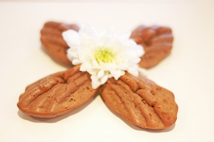 Delicious cookies and sweet white flower