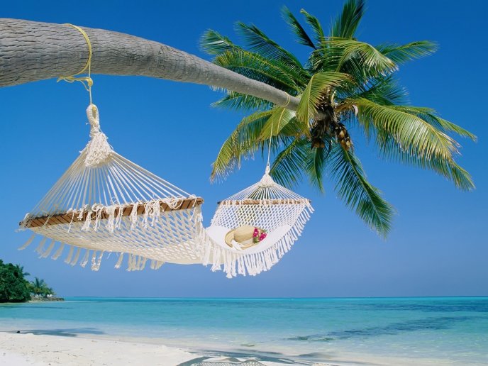 Hammock tied to a palm - relaxing time at the seaside
