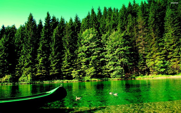 Green light - nature and lake
