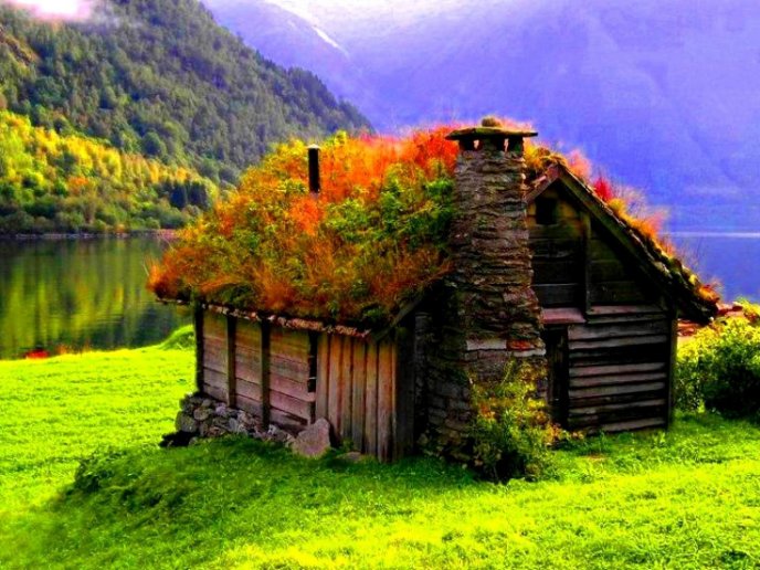 Small cottage in the middle of the beautiful nature